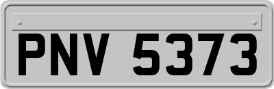 PNV5373