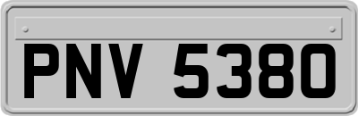 PNV5380