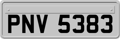 PNV5383