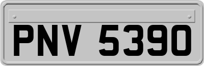 PNV5390