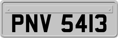 PNV5413