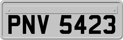 PNV5423