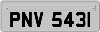 PNV5431