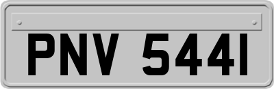 PNV5441