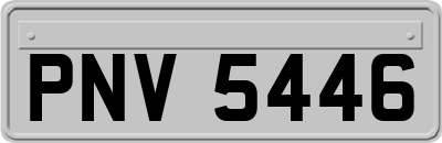 PNV5446