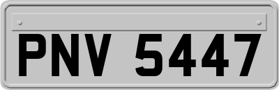 PNV5447