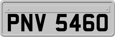PNV5460