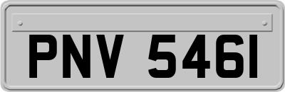 PNV5461
