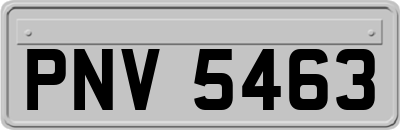 PNV5463