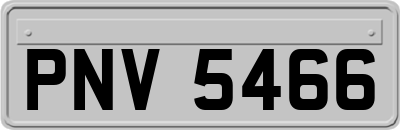PNV5466
