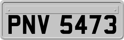 PNV5473
