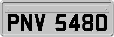PNV5480