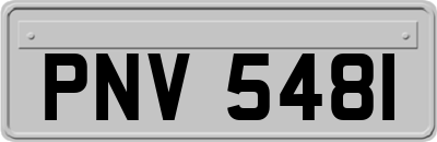 PNV5481