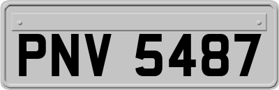 PNV5487
