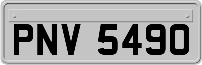 PNV5490