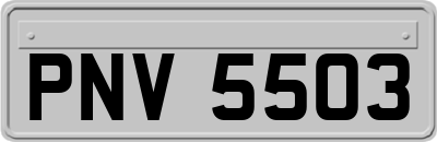 PNV5503