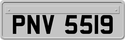 PNV5519