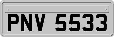 PNV5533