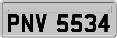 PNV5534