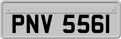 PNV5561