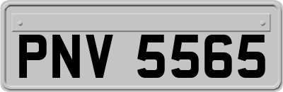 PNV5565
