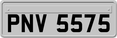 PNV5575