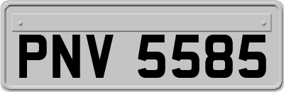 PNV5585