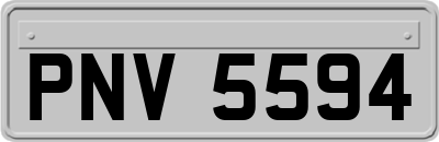 PNV5594
