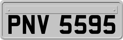 PNV5595