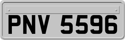 PNV5596