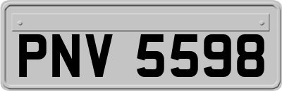 PNV5598