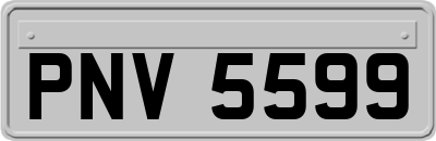 PNV5599