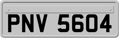 PNV5604