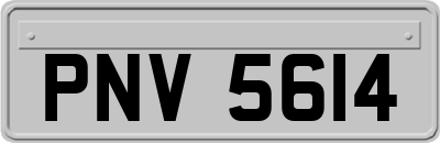 PNV5614