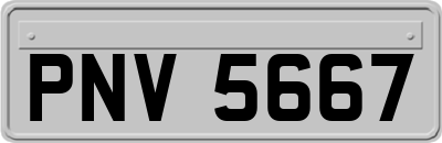 PNV5667