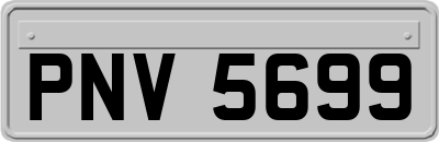 PNV5699