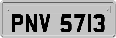 PNV5713