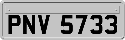 PNV5733