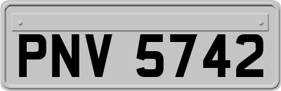 PNV5742