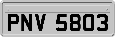 PNV5803
