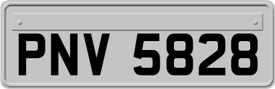 PNV5828