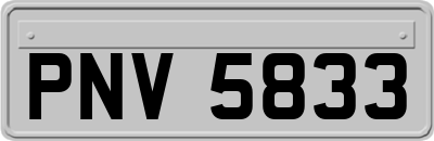 PNV5833