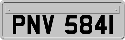 PNV5841