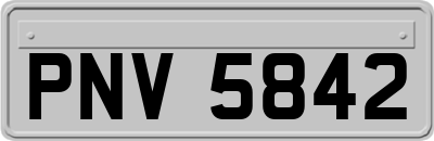 PNV5842