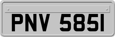 PNV5851