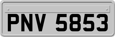 PNV5853