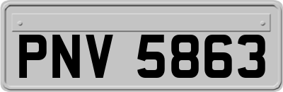 PNV5863