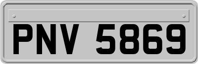 PNV5869