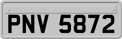 PNV5872