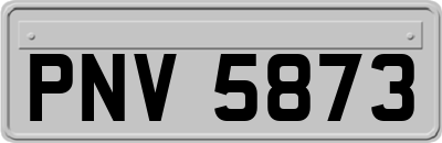 PNV5873